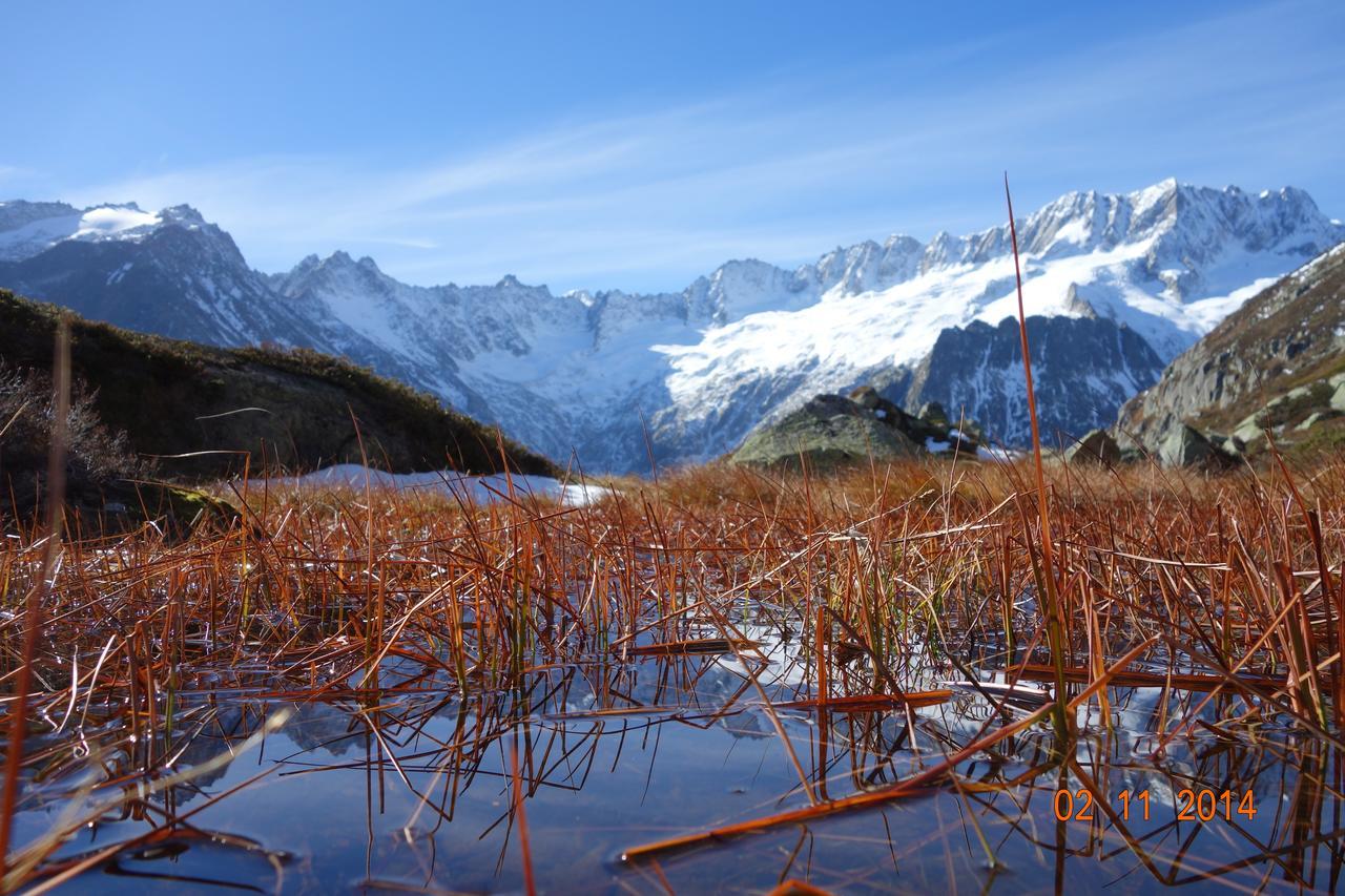 Gasthaus Goescheneralp Ґешенен Екстер'єр фото